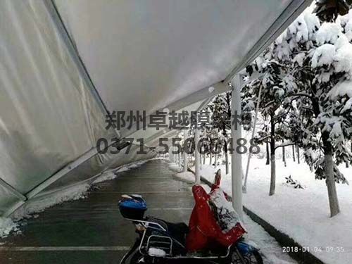 某公园被积雪压塌的香蕉视频啪啪下载